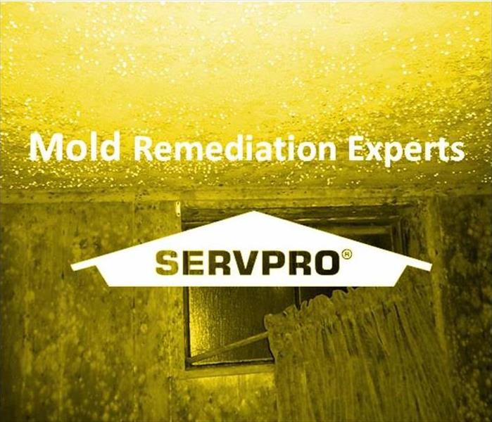 Image of moldy wall and ceiling with SERVPRO logo and text, Mold Remediation Experts