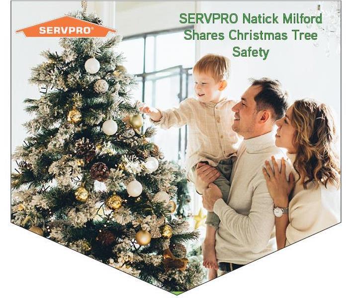 Christmas tree with SERVPRO logo 