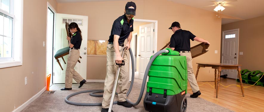 Natick, MA cleaning services