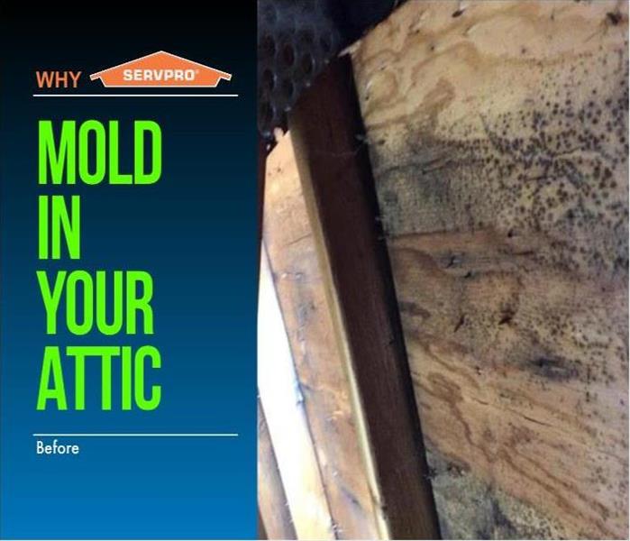 Moldy sheathing in attic